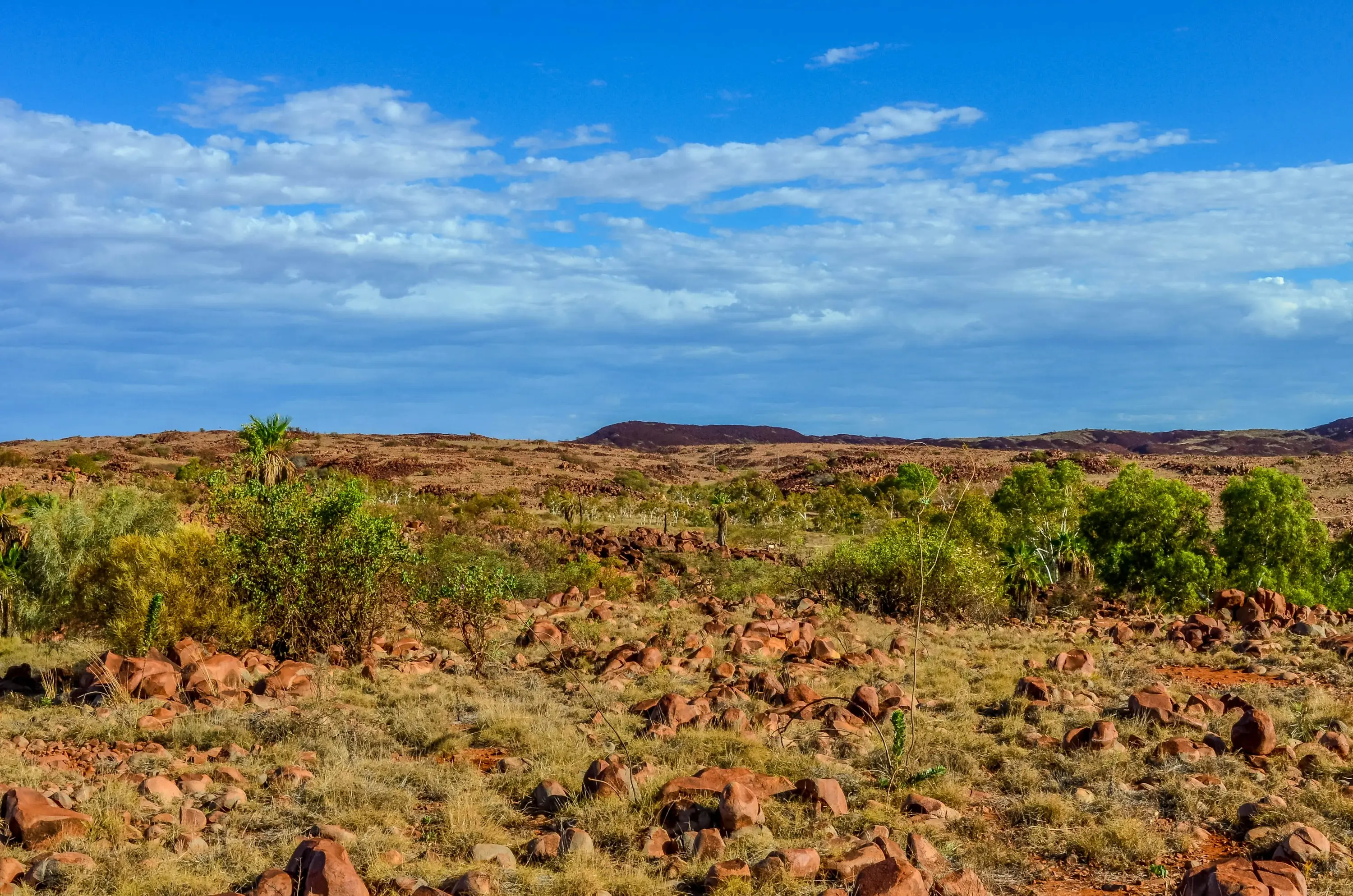 Arid landscape field photo